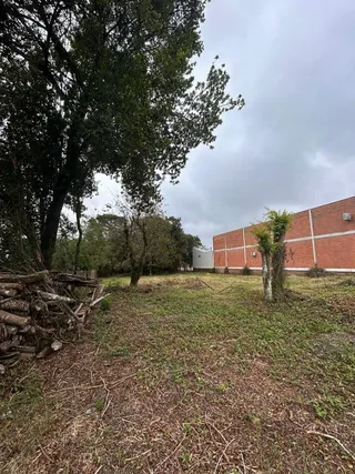 Terreno, foto 6