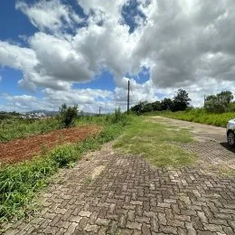 Vista de um caminho de paralelepípedos em uma área externa com vegetação.