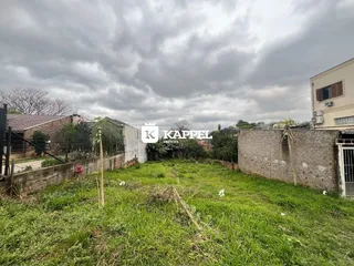 Vista externa mostrando um terreno com grama alta e vegetação.