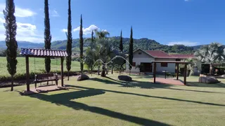 Vista externa de um jardim gramado com palmeiras e uma estrutura de madeira.