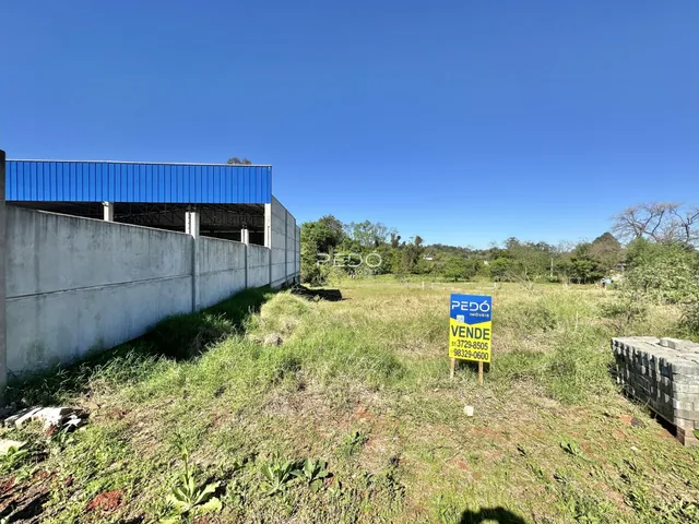 Vista externa de um terreno com vegetação e muro de concreto.