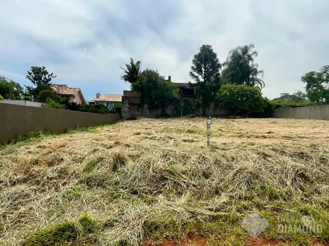 Terreno, foto 3