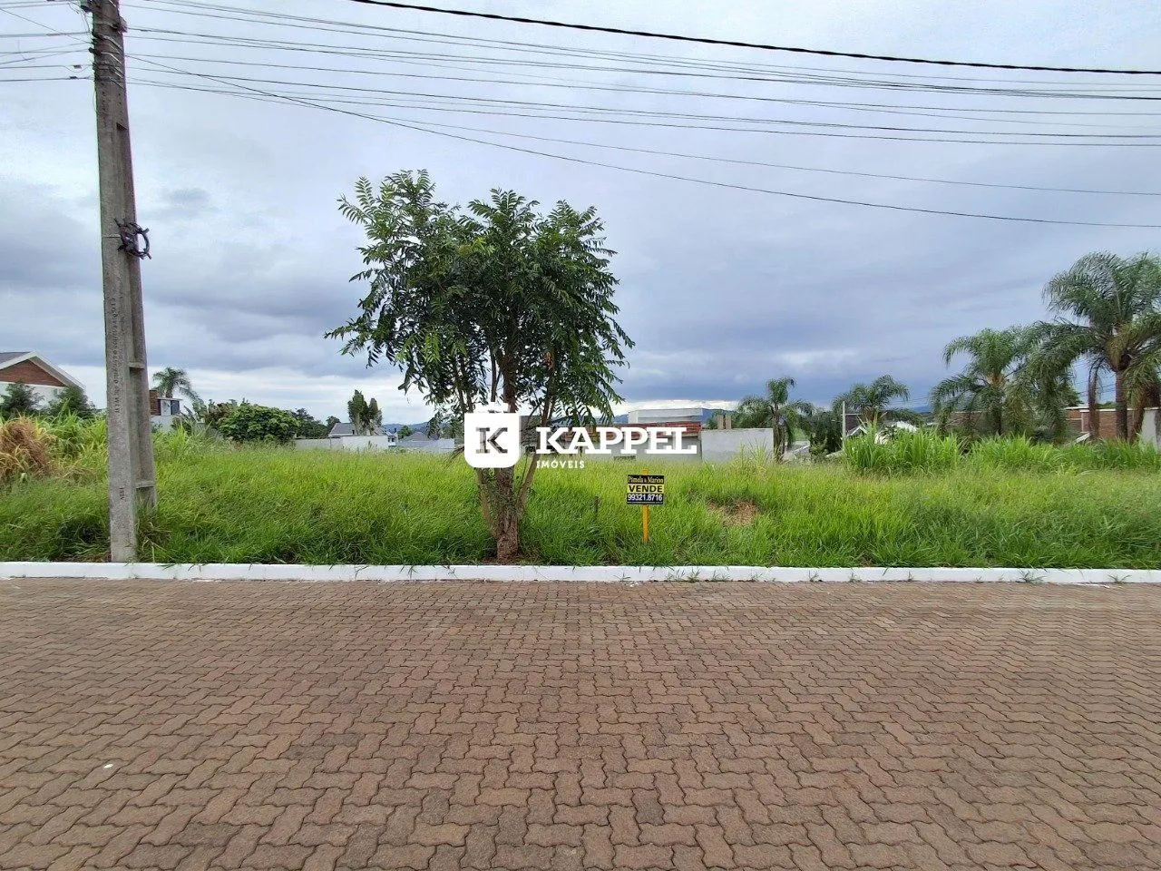 Vista externa de uma área gramada com uma árvore em Lajeado, Brasil.
