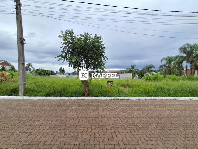 Vista externa de uma área gramada com uma árvore em Lajeado, Brasil.