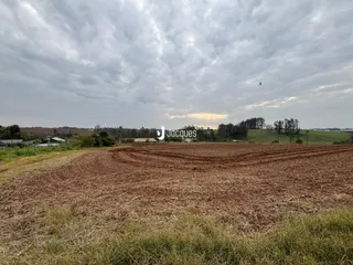 Paisagem de campo com terra arada e vegetação ao fundo.