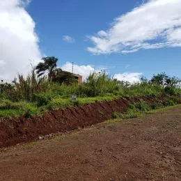 Terreno, foto 4