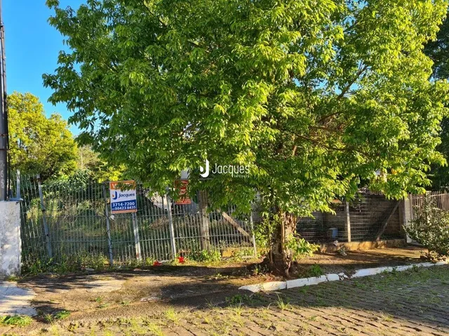 Terreno, foto 2