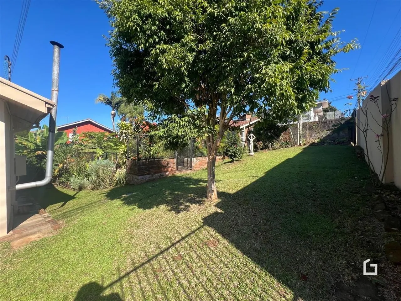 Vista do jardim com gramado e grande árvore em Lajeado.