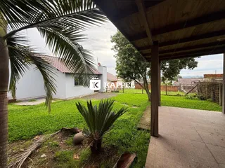 Jardim verde com grama e palmeiras em uma área externa.