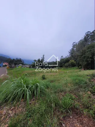 Terreno, foto 2