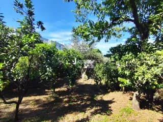 Casa com 3 dormitórios, foto 33