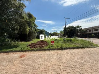 Vista externa do terreno com vegetação e área de terra no primeiro plano.