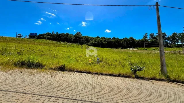 Paisagem de campo verde com vegetação e árvores ao fundo.
