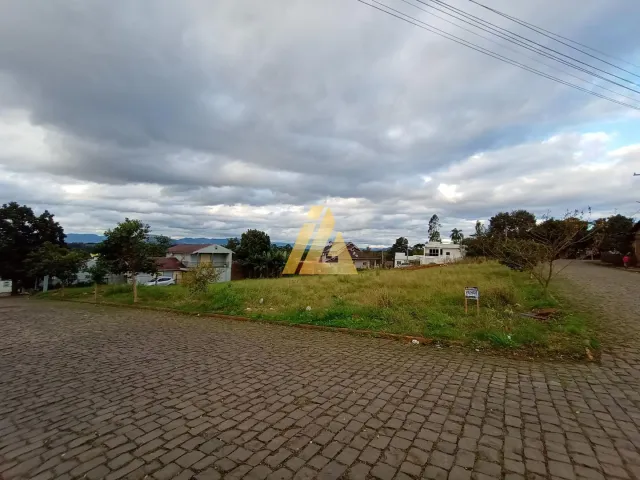 Terreno, foto 3