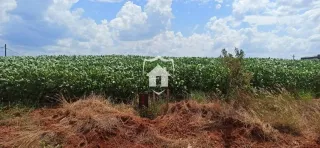 Terreno, foto 1