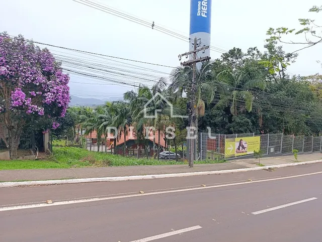 Terreno, foto 4