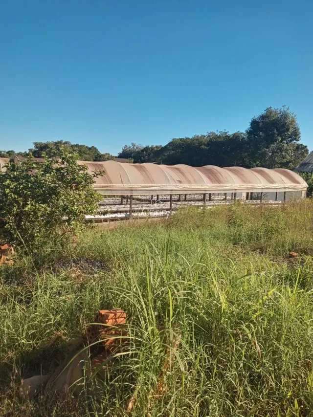 Área rural, foto 4