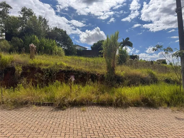 Terreno, foto 3