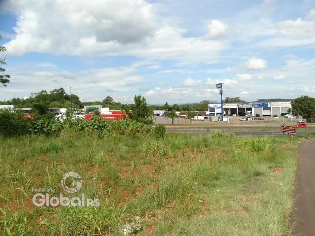 Vista externa de um terreno com vegetação em primeiro plano e estruturas industriais ao fundo.
