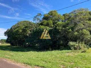 Terreno, foto 68