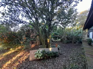 Casa com 6 dormitórios, foto 7
