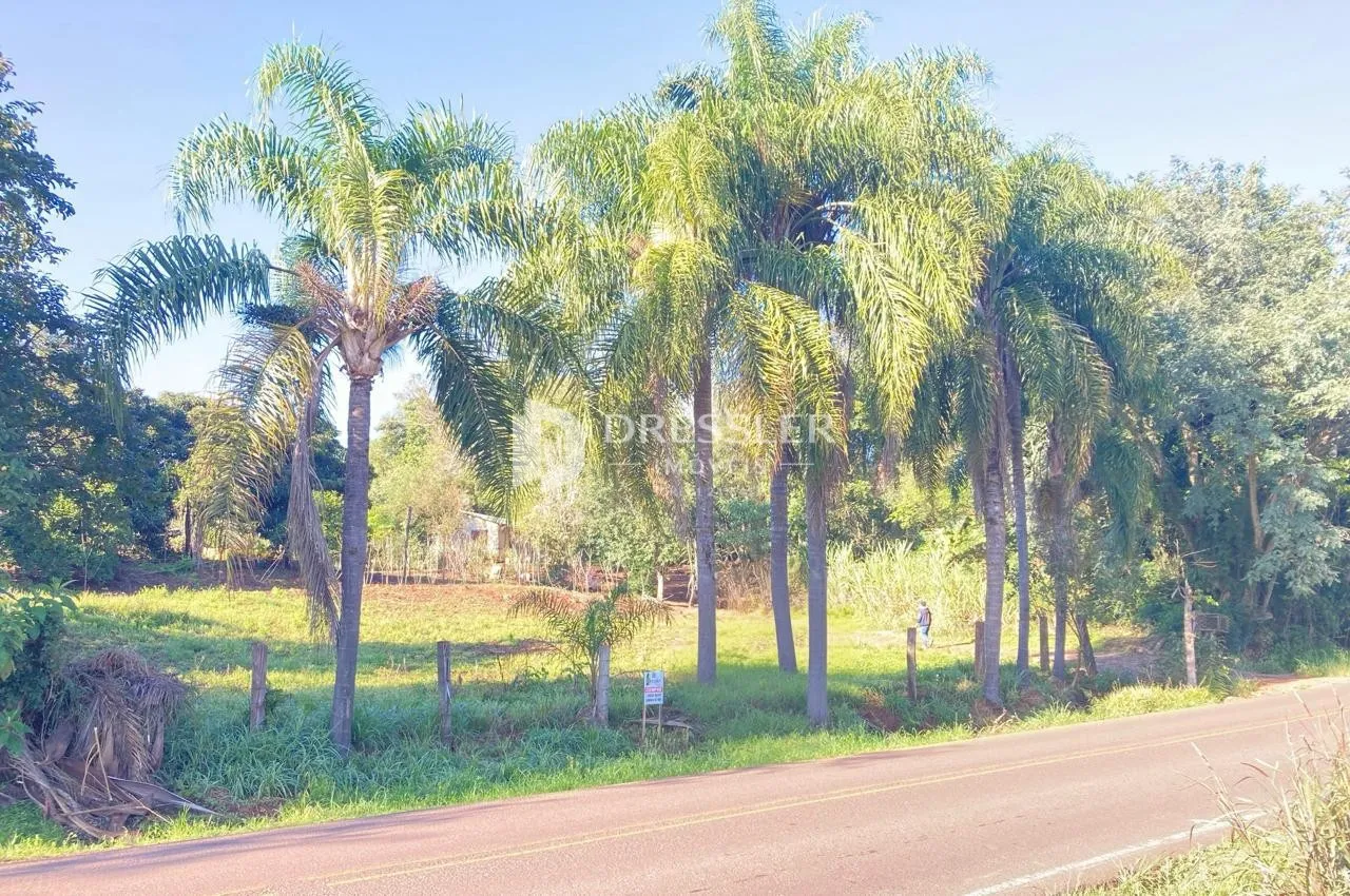 Área rural, foto 1