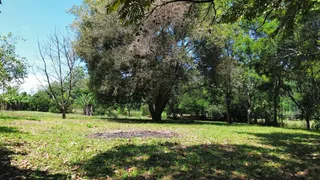Área rural com 2 dormitórios, foto 4