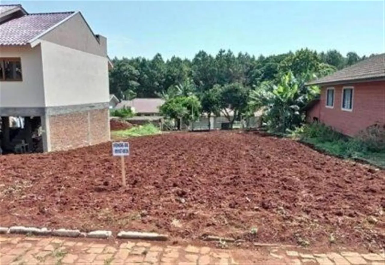Terreno, foto 1