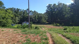 Área rural com 2 dormitórios, foto 6