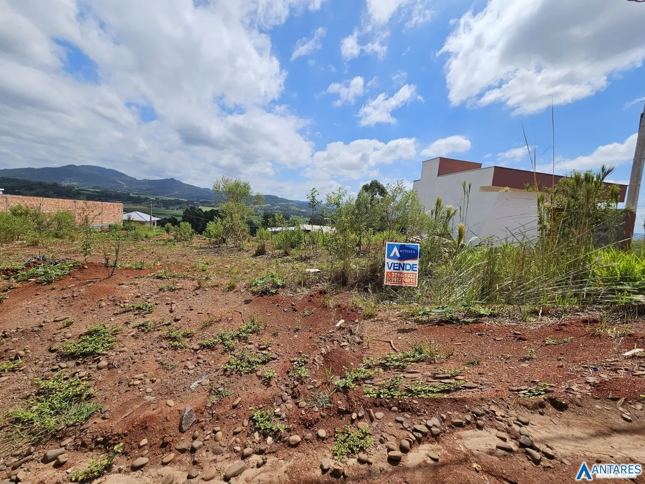 Terreno, foto 1