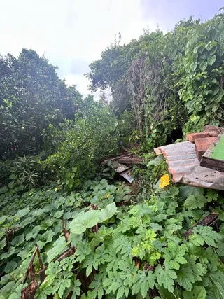 Casa com 3 dormitórios, foto 7