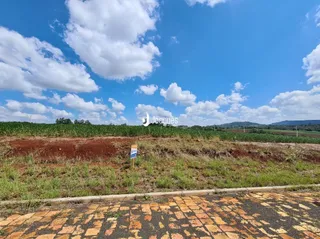 Terreno, foto 7