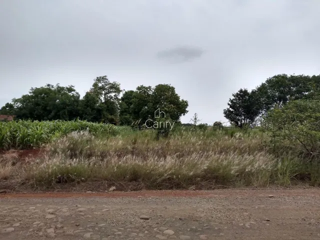Terreno, foto 2