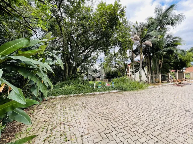 Paisagem exterior da propriedade com vegetação densa e pavimento de paralelepípedos.