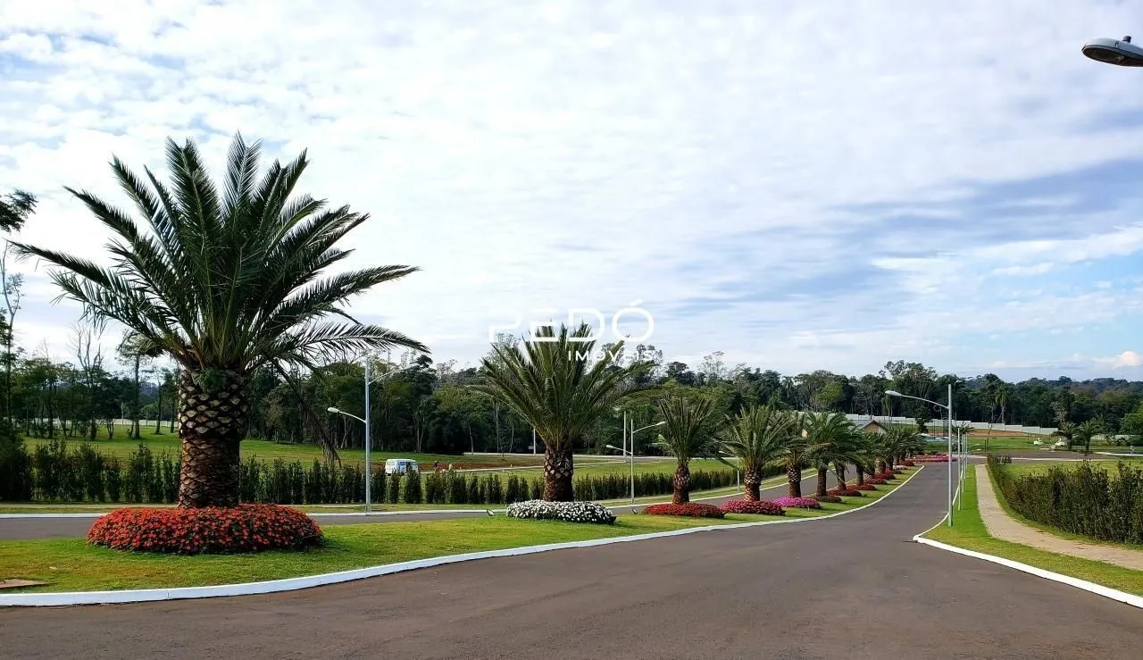 Terreno, foto 1