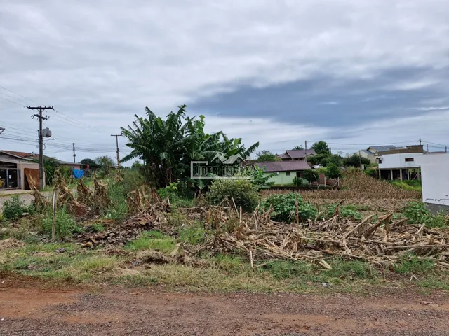 Terreno, foto 5