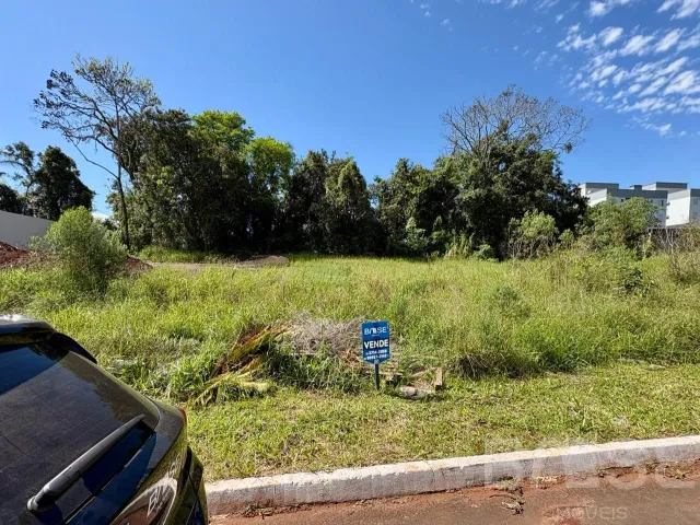 Terreno, foto 3