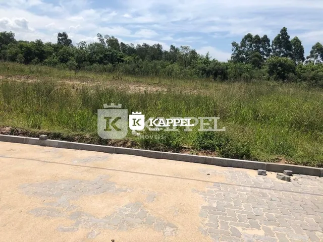 Vista externa mostrando uma área pavimentada com vegetação alta no limite da propriedade.