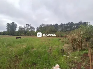 Terreno, foto 18