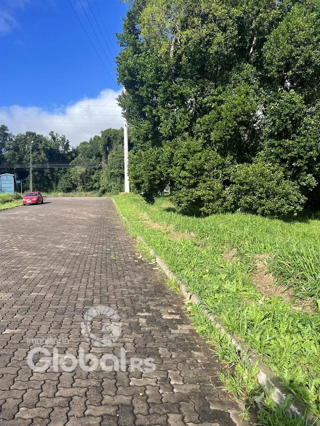 Vista da propriedade com gramado e vegetação ao lado de uma estrada pavimentada.