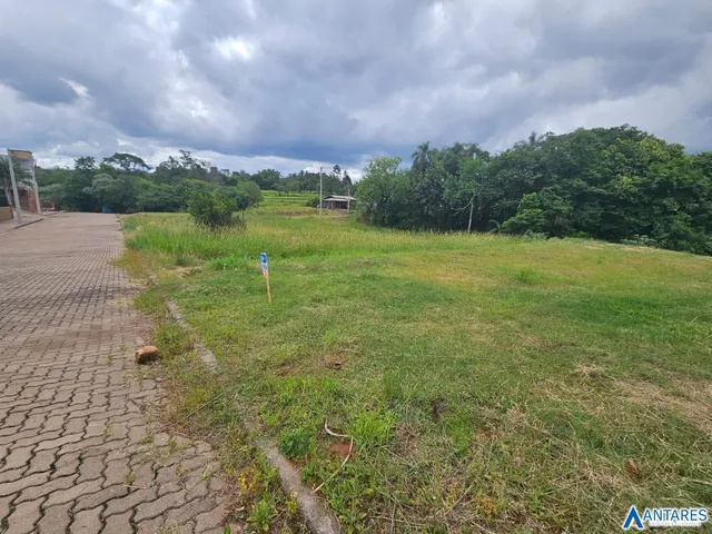 Terreno, foto 3