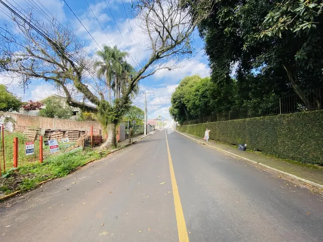 Vista da rua em Lajeado, Brasil, com vegetação e cerca.