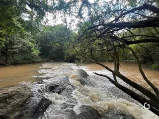 Vista de um rio caudaloso com pedras e vegetação densa.