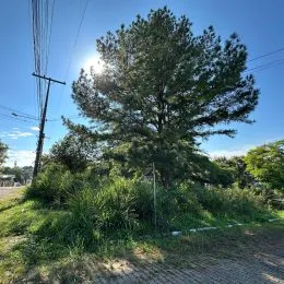 Terreno, foto 2