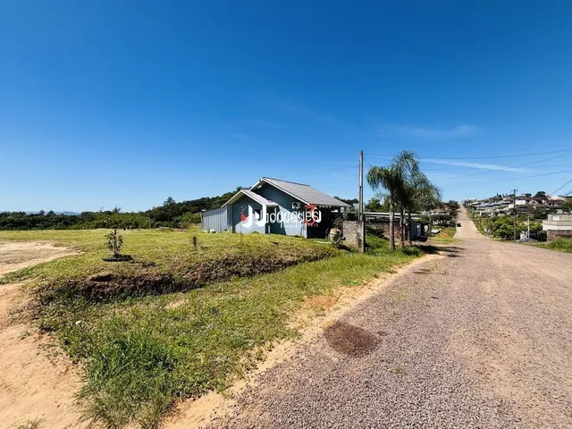 Vista de uma estrada de terra em uma área rural no Brasil.