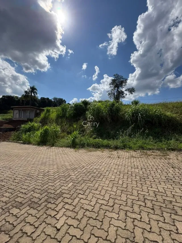 Terreno, foto 2