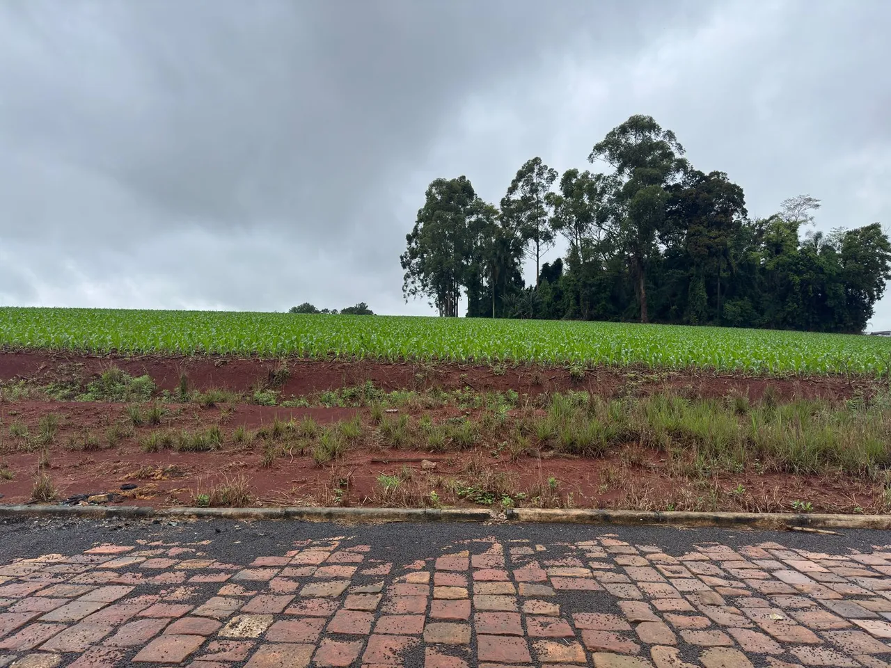 Terreno, foto 1