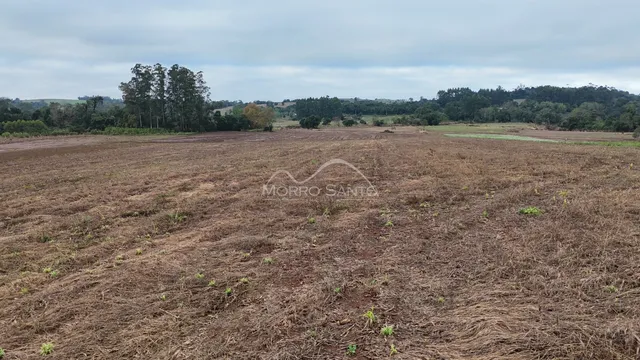 Foto de um campo aberto com vegetação seca no fundo sob um céu nublado.