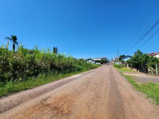 Uma vista de uma estrada de terra ladeada por vegetação densa.