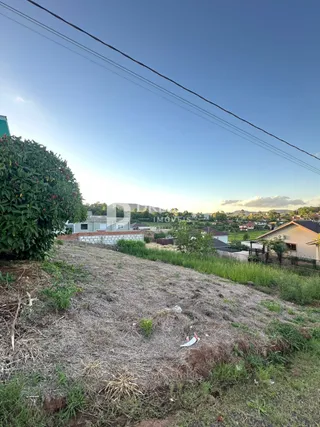 Vista da área externa com grama e vegetação em Lajeado.